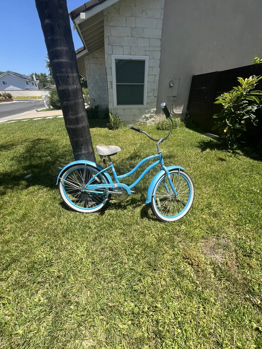 Beach cruiser on the grass